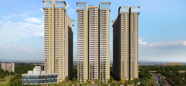 Top Developers in Hyderabad